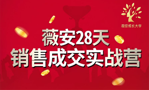 薇安28天销售成交实战营，5分钟成交3万，实现了月入近6位数的营收